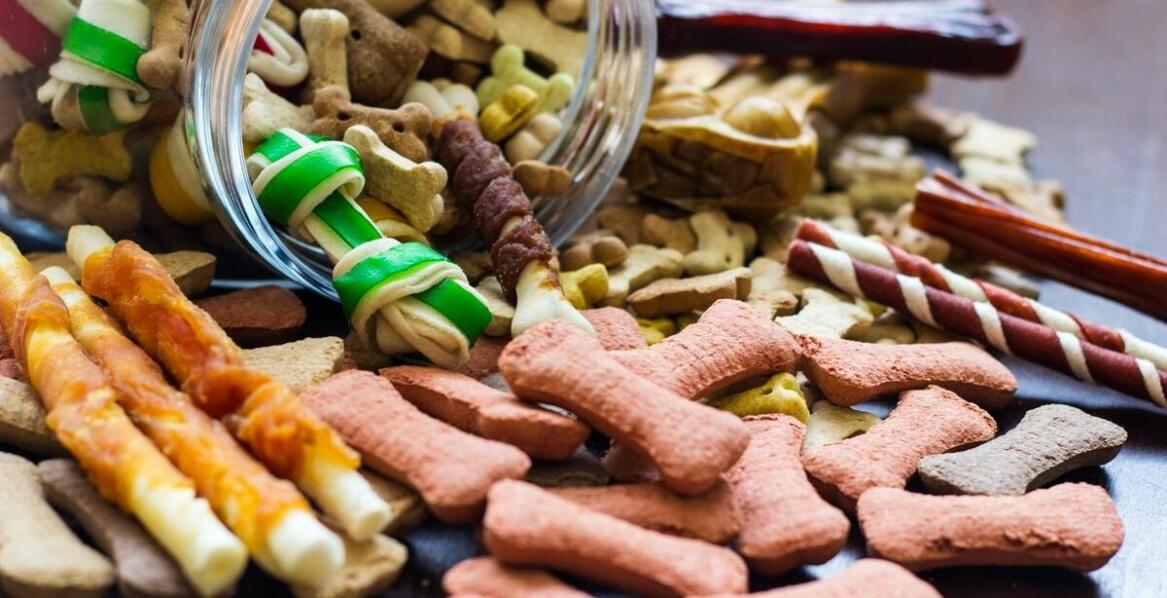 Naturalne gryzaki a dieta eliminacyjna u małych psów