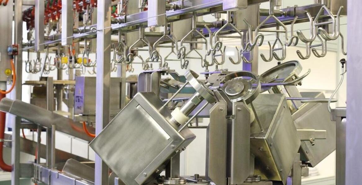 Na jakiej zasadzie działają dzielarki do drobiu?