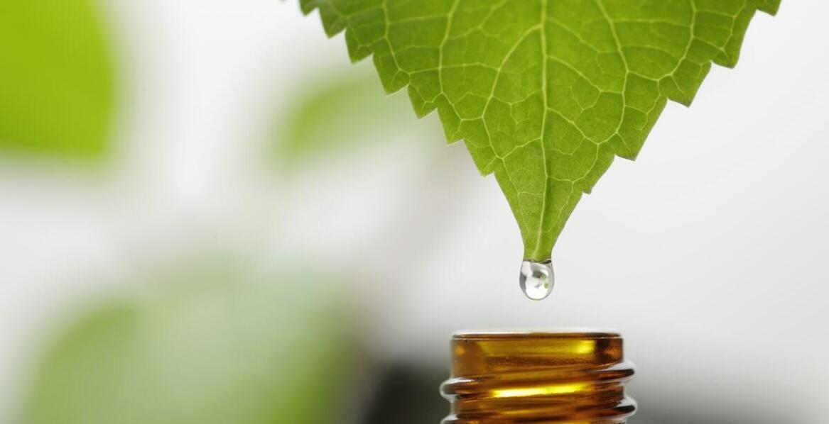 Olej CBD 5 w profilaktyce zdrowotnej – jak go stosować?