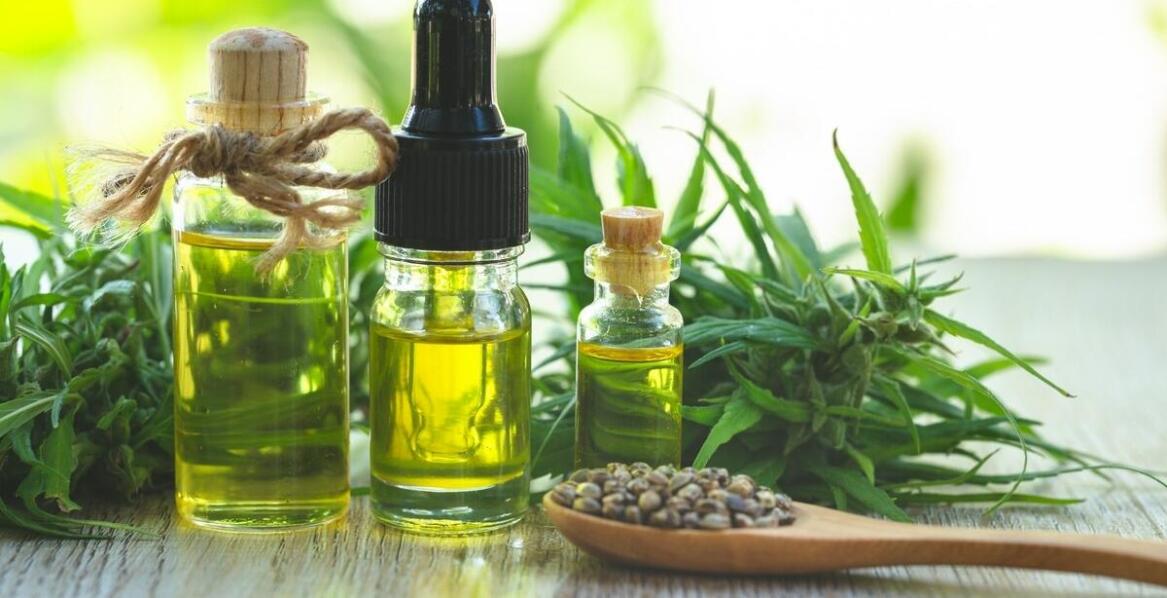 Właściwości terapeutyczne olejku konopnego w medycynie naturalnej