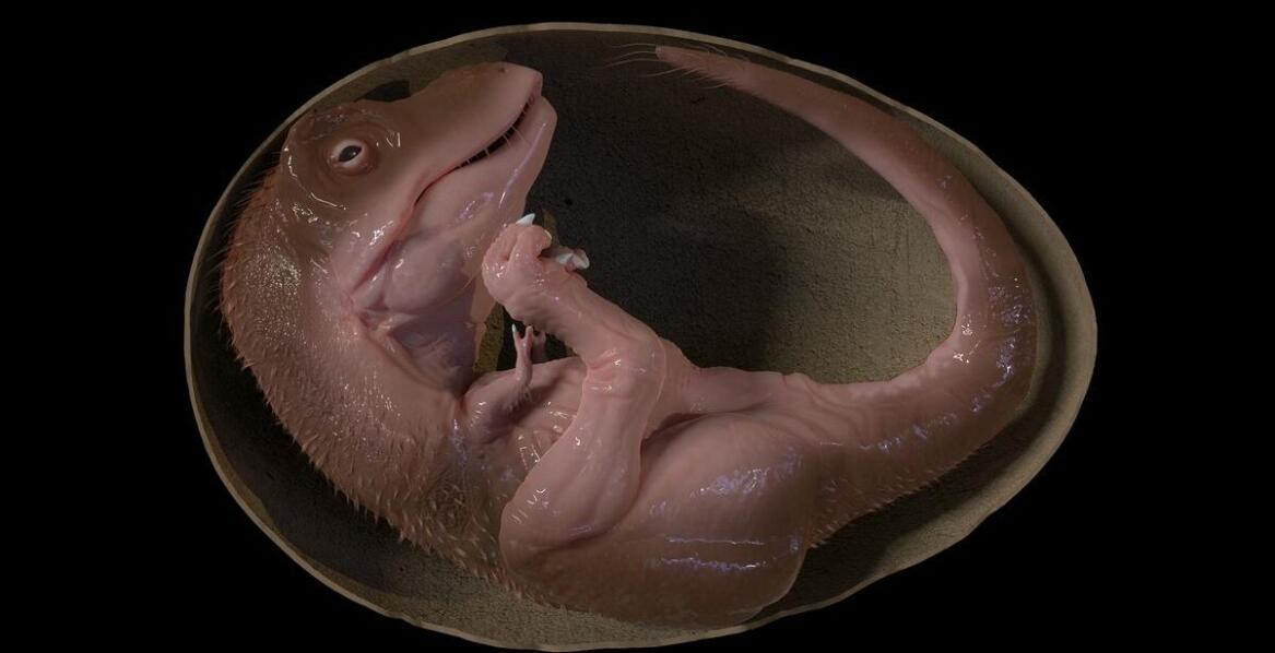 Jakie aktywności edukacyjne oferuje park dinozaurów?