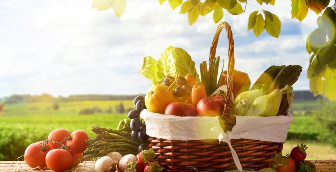 Przekąski finger food na pikniki: co warto uwzględnić w menu?