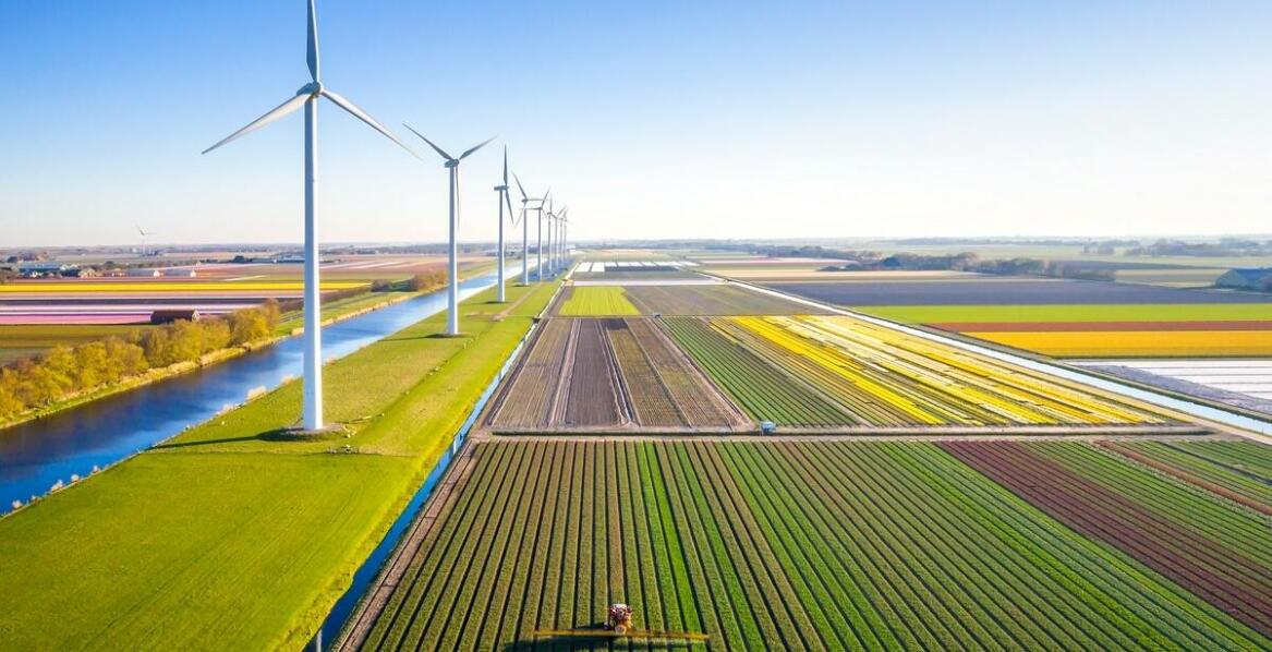 Jakie są zalety inwestycji w deszczownię szpulową do ogrodu?