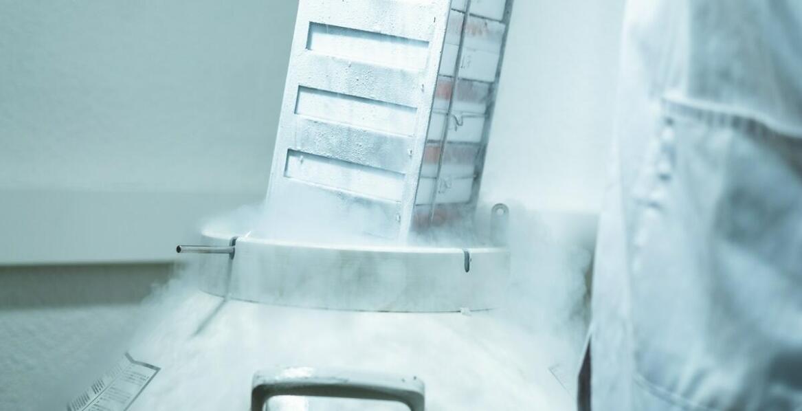 Jak ciekły azot wpływa na przechowywanie tkanek w laboratoriach medycznych?