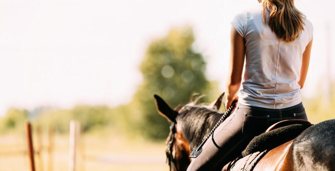 Jakie są najnowsze osiągnięcia w terapii mikronaczyniowej koni?
