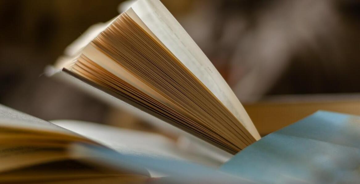 Czytelnicze odkrycia roku – co poleca "Księgarnia Naszego Dziennika"?