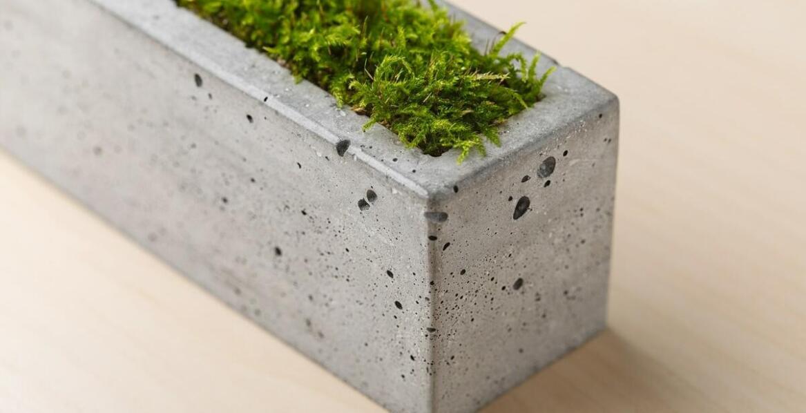 Wpływ kształtu i materiału donicy betonowej prostokątnej na rozwój roślin