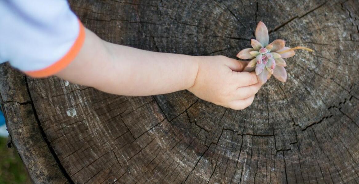Jakie są zalety wykonywania sesji dziecięcych na zewnątrz?