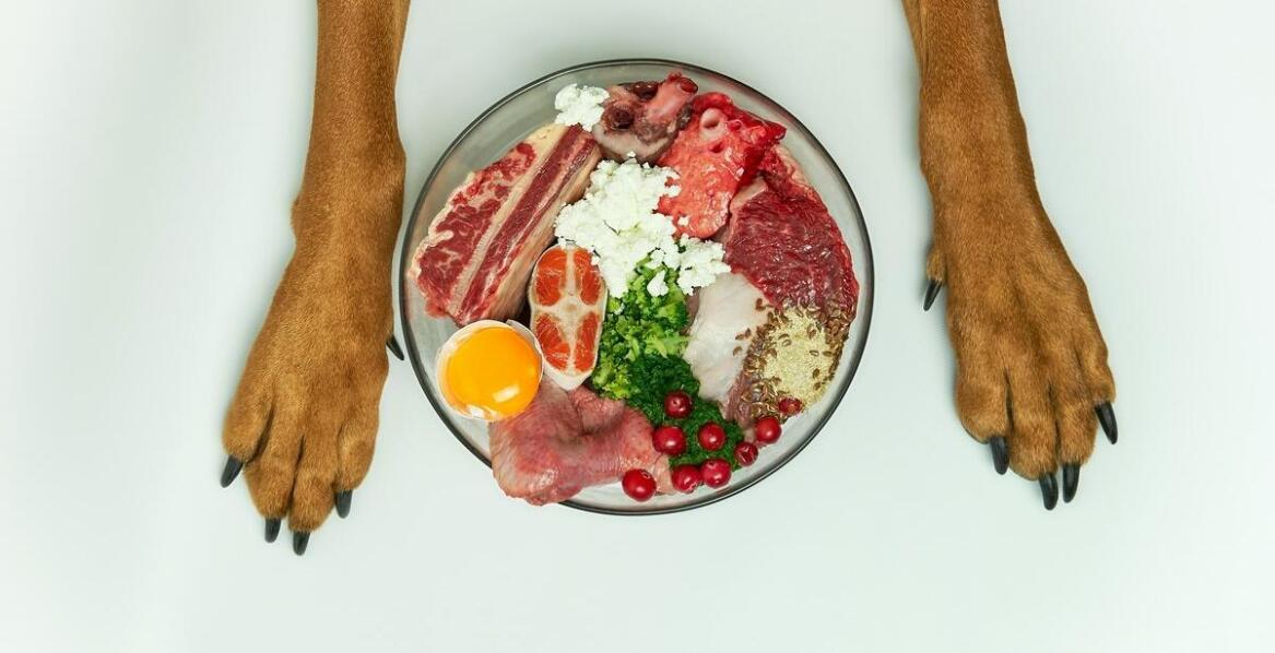 Jak dostosować dietę psa z pomocą karmy?