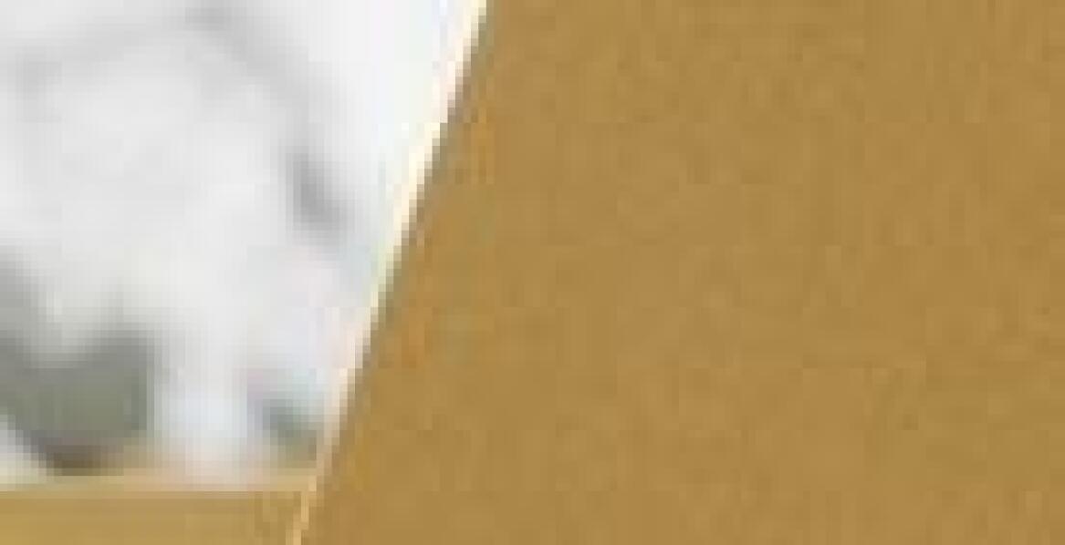 Jak transport pionowy wspiera automatyzację procesów magazynowych?