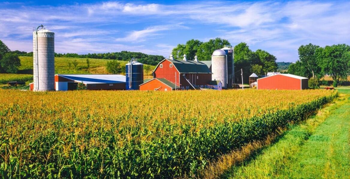 Ubój kóz – jakie są korzyści dla konsumentów?