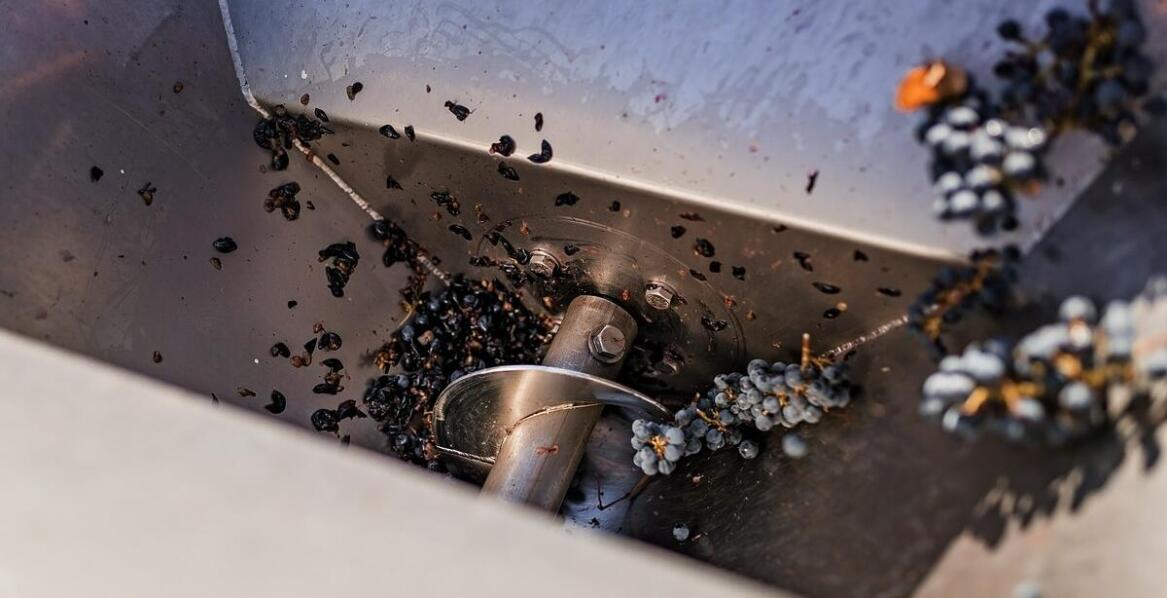 Jakie są kluczowe zalety stosowania żmijek do zboża w przemyśle spożywczym?