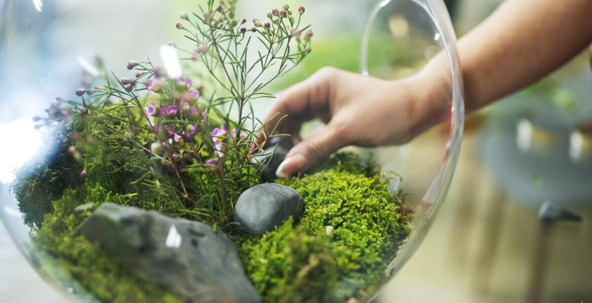 Porady dotyczące serwisowania akwariów – jak dbać o sprzęt i rośliny?