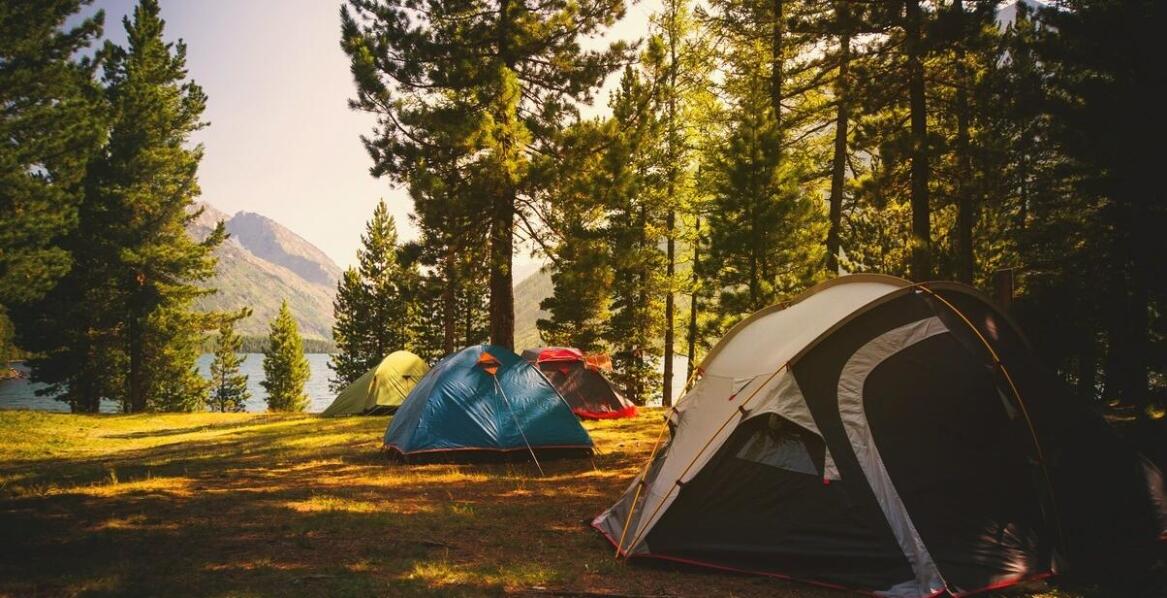 Hale namiotowe sprzedaż - na co zwrócić uwagę przy wyborze dostawcy?