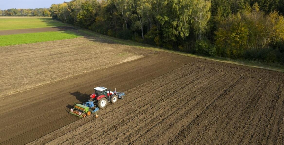 Jak dobrać odpowiednią maszynę do przesadzania drzew w zależności od projektu?
