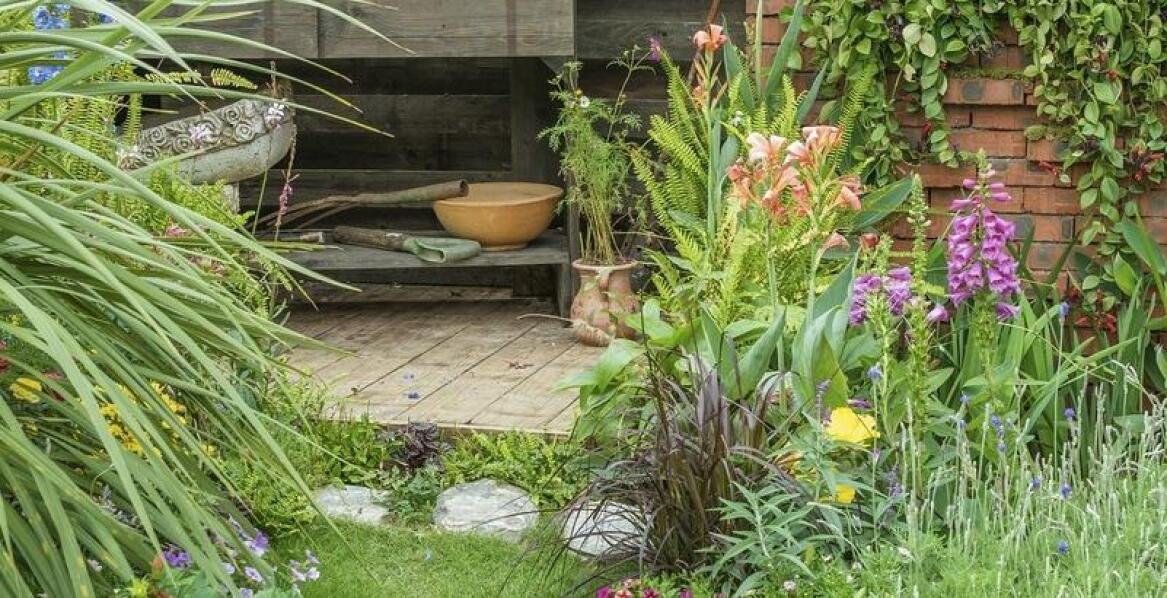 Jakie są najczęstsze problemy w ochronie roślin i jak je rozwiązać za pomocą naszych produktów?