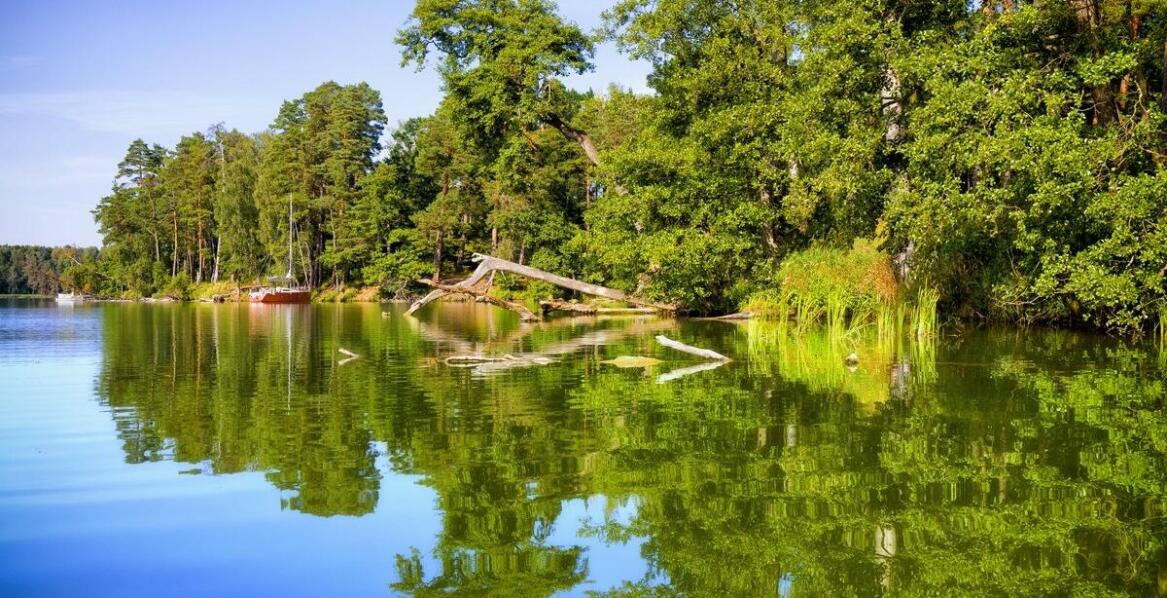 Malownicze krajobrazy Roztocza - dlaczego warto je odkrywać podczas spływu kajakowego?