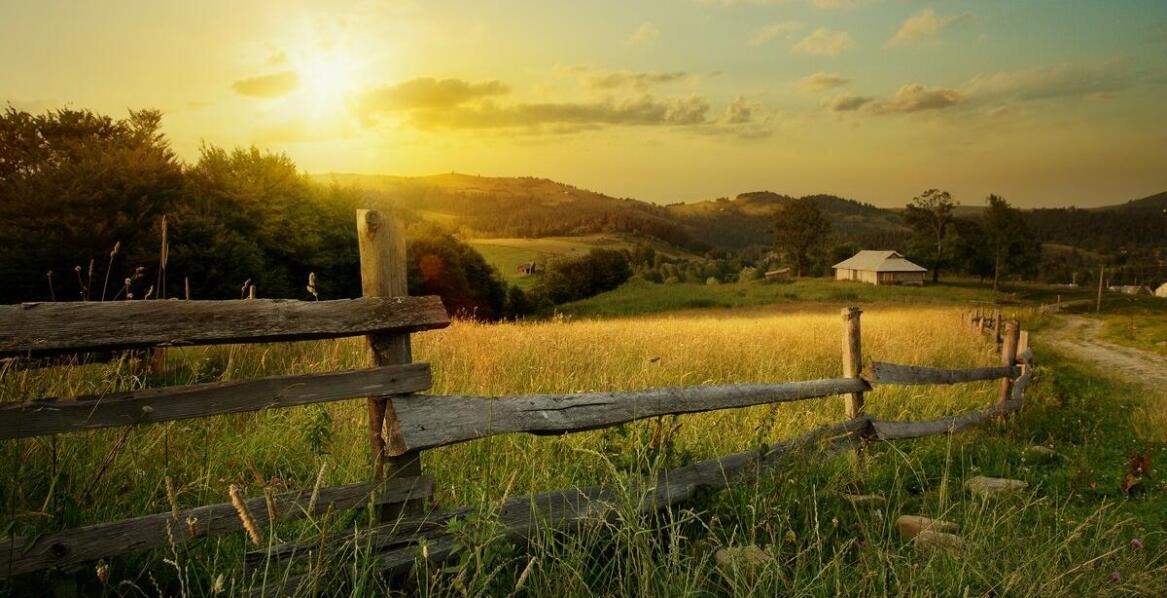 W jaki sposób słupki drewniane wspierają zrównoważoną hodowlę zwierząt?