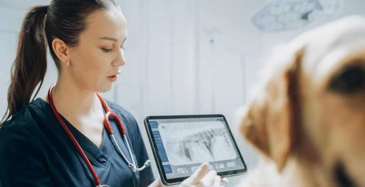 Jakie są najczęstsze problemy zdrowotne u młodych zwierząt?