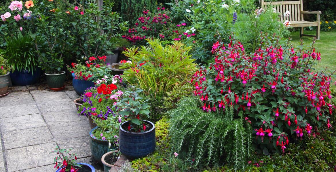 Dobór roślin do projektu ogrodu – jak specjaliści z Poznania mogą pomóc?