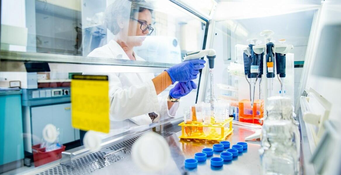 Jak precyzyjne pobieranie próbek gleby wpływa na badania ekosystemów leśnych?