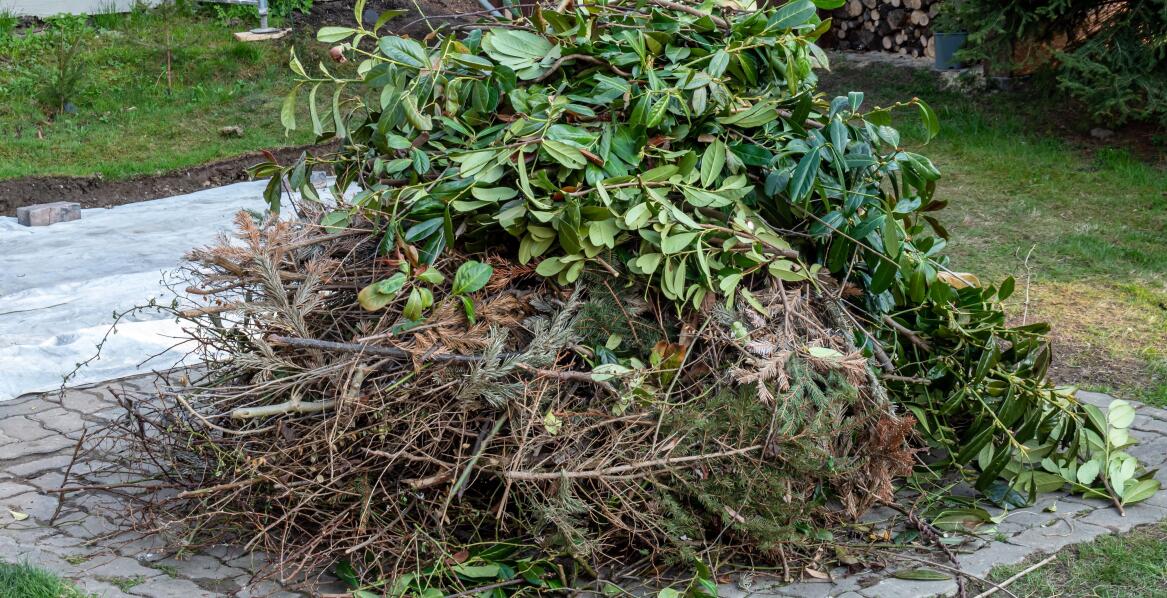 Profesjonalny wywóz skoszonej trawy i gałęzi – dlaczego to ważne?