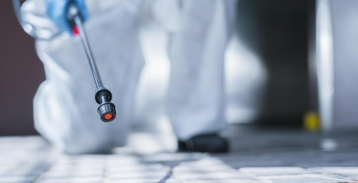 Deratyzacja we Wrocławiu: jak zapewniamy bezpieczeństwo Twojej przestrzeni?