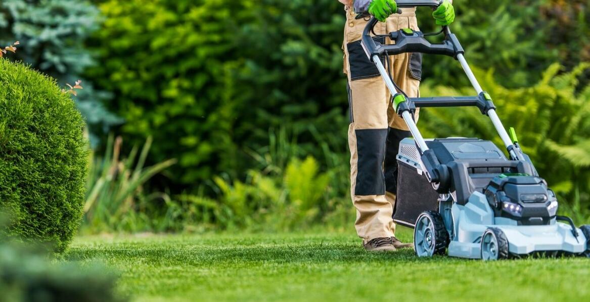 Profesjonalne koszenie trawników – dlaczego jest tak ważne dla zdrowia trawy?