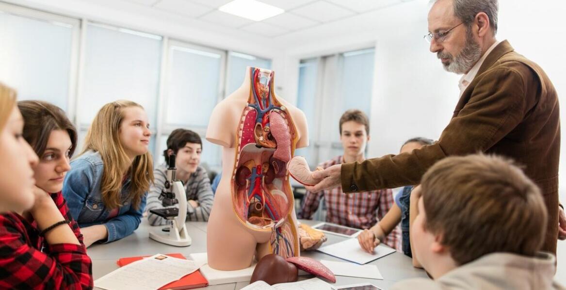 Jak kurs maturalny z biologii przygotowuje do egzaminu?