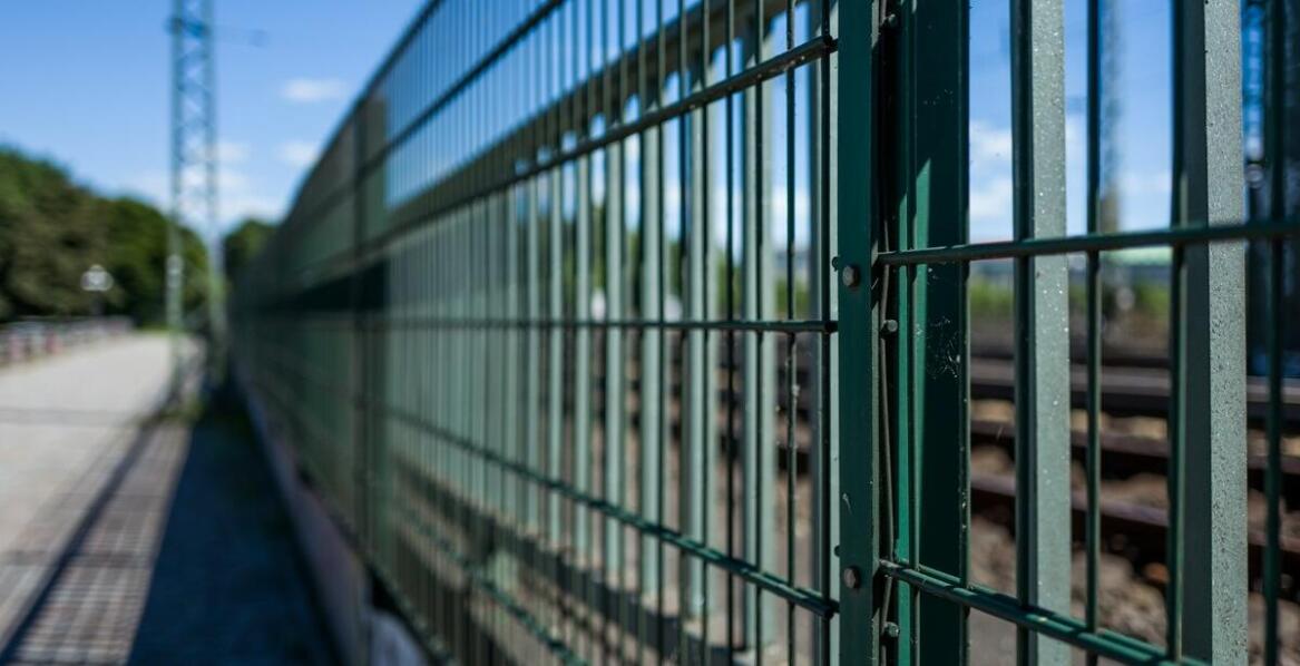 Siatki ogrodzeniowe w zabezpieczaniu wybiegów dla zwierząt – kluczowe zalety