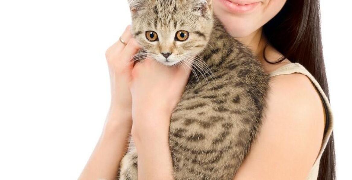 Jak zapewniamy relaksujący pobyt w hoteliku dla kotów we Wrocławiu?