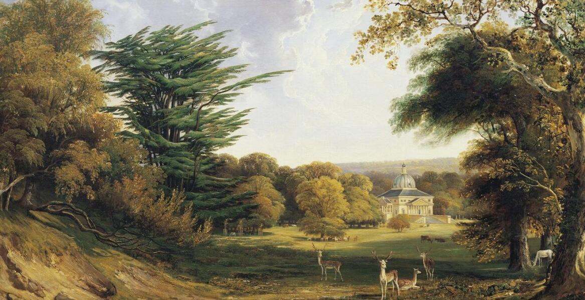 Etapy profesjonalnego sadzenia drzew – krok po kroku z ekspertami