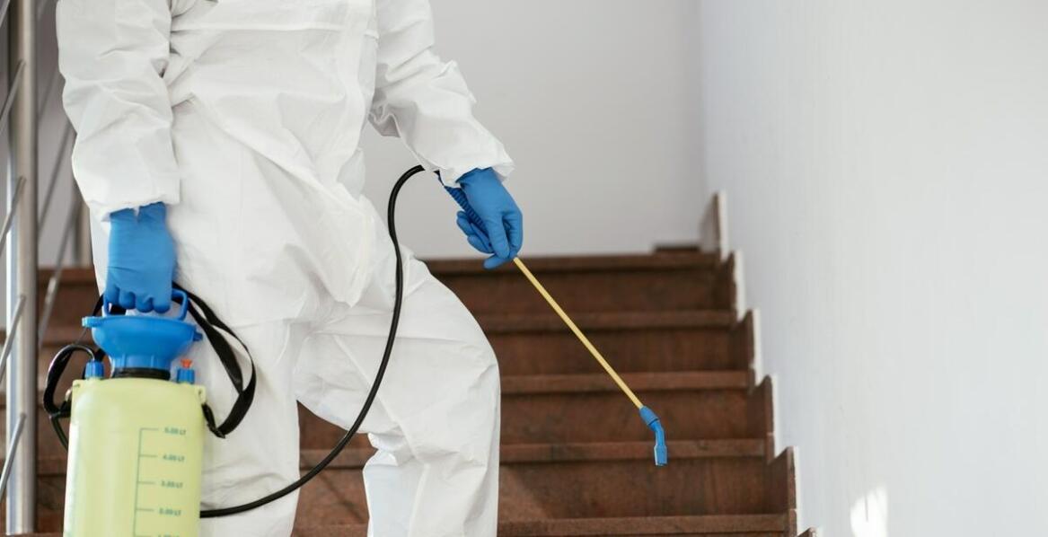 Jak dbać o estetykę i czystość klatek schodowych dzięki profesjonalnym usługom?