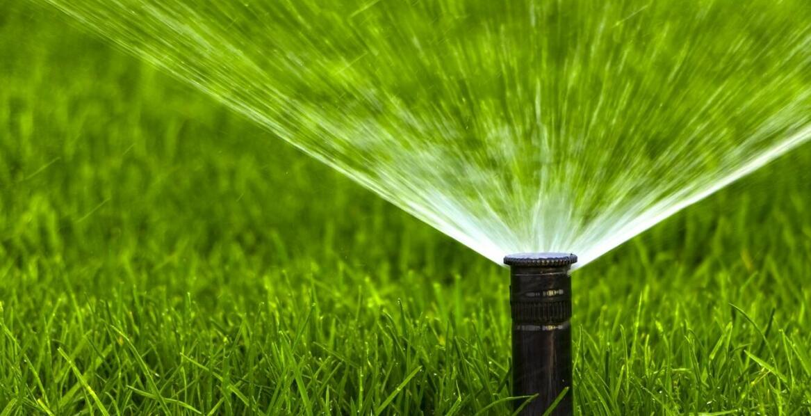 Jak dobrać odpowiednie sterowniki do automatycznego podlewania ogrodu?