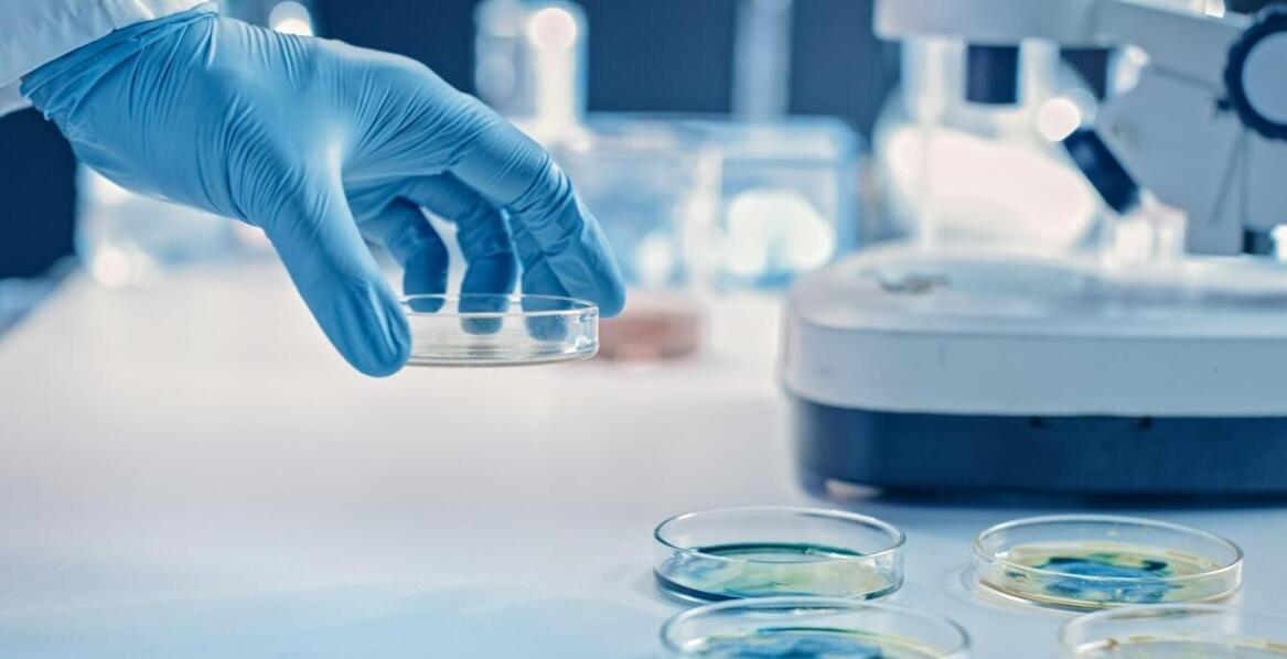 Rekomendacje dotyczące konserwacji i przechowywania gutaperki