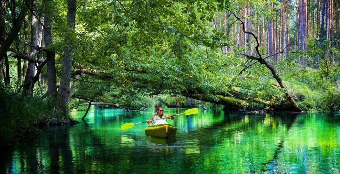 Spływy kajakowe w Wielkopolsce: niezapomniana przygoda dla każdego