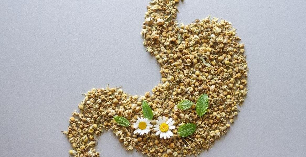 Na co warto zwrócić uwagę przy wyborze leków na trawienie?