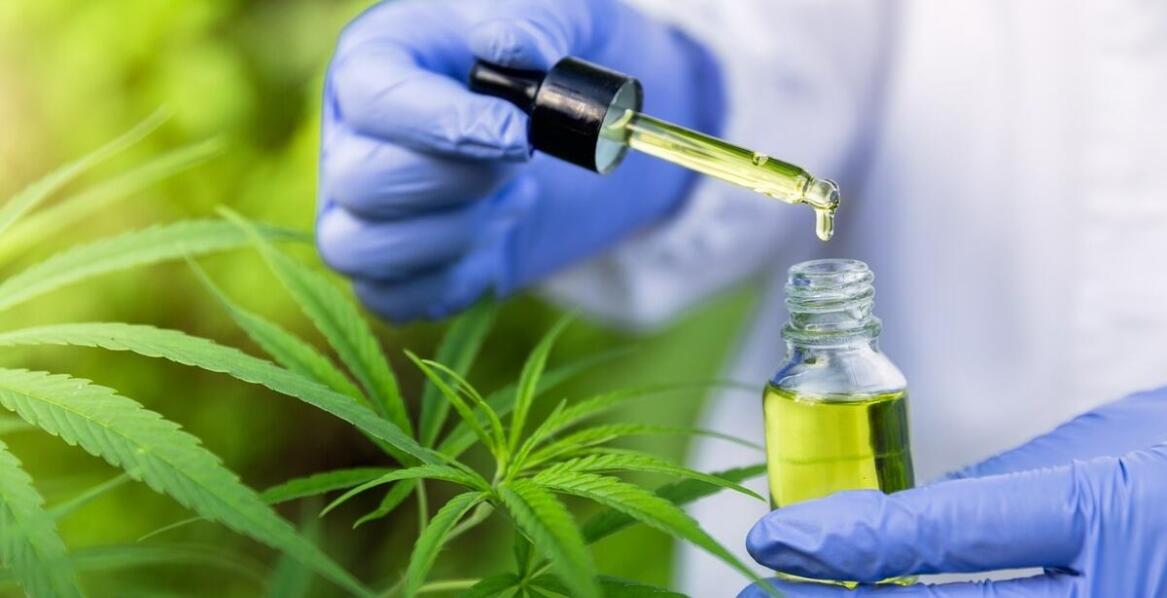 Czy olej CBD 20 może pomóc w łagodzeniu przewlekłego bólu?