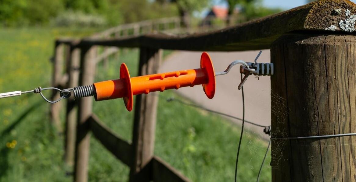 Zastosowanie odstraszaczy dzików w kontekście ochrony ogrodów