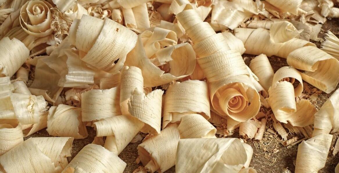 Trociny w gospodarce cyrkularnej – jak przyczyniają się do zrównoważonego rozwoju?