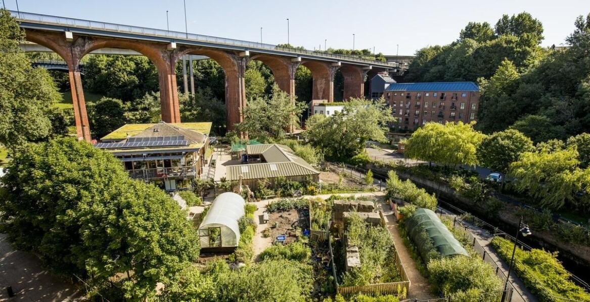 Wpływ higroskopijności na koszty utrzymania zielonego dachu