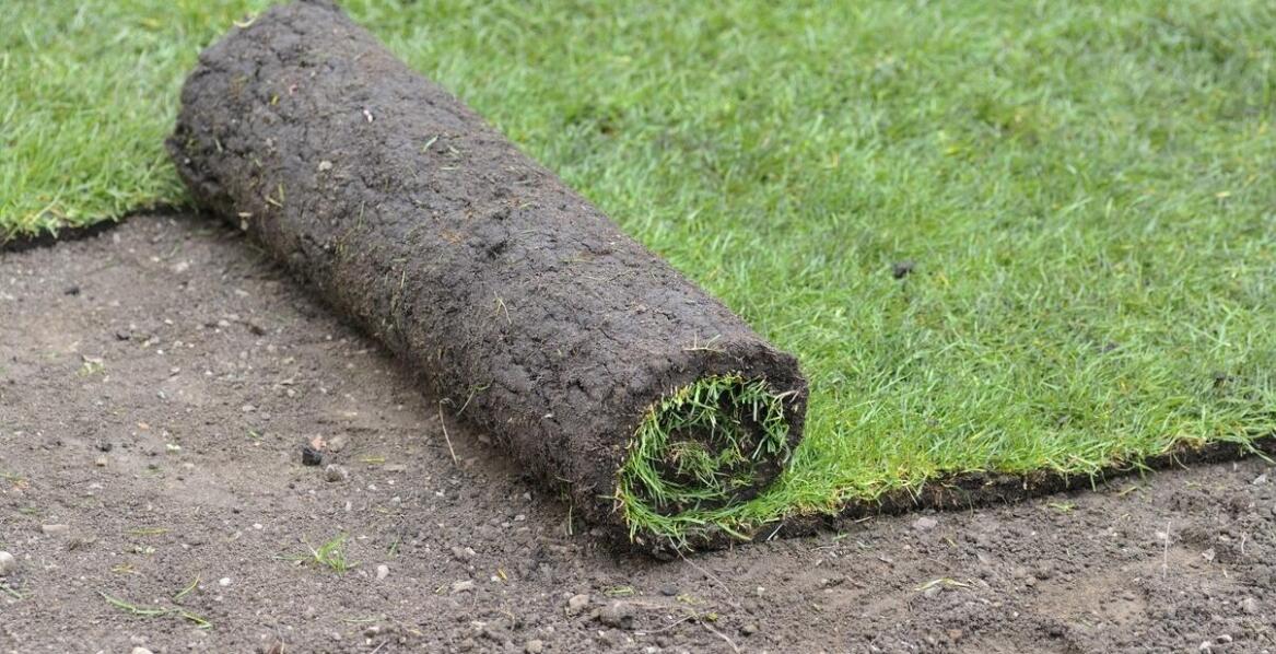 Najnowsze technologie w produkcji trawników rolowanych