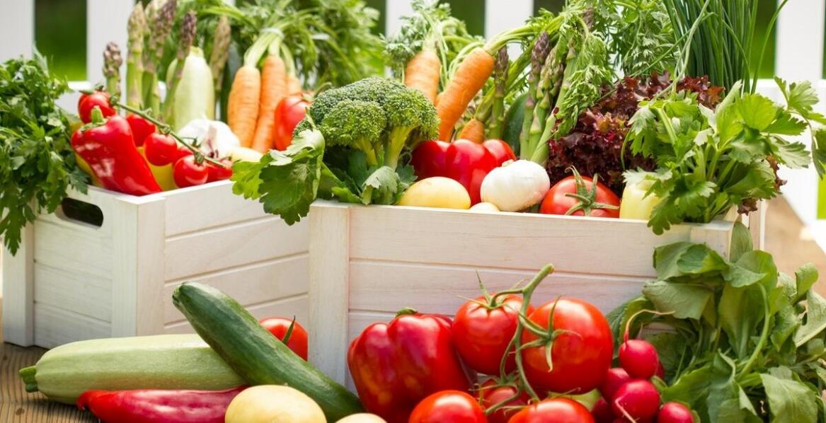 Jakie wartości odżywcze mają rośliny wyhodowane z nasion Benary?