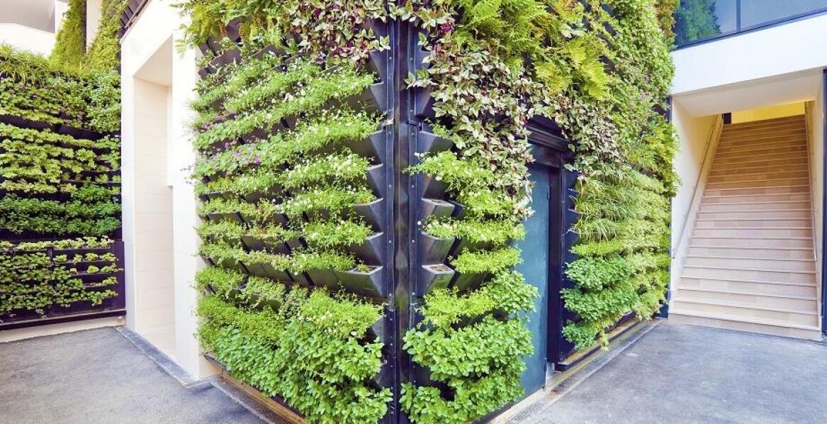 Jak zielone ściany wpływają na efektywność energetyczną budynków?