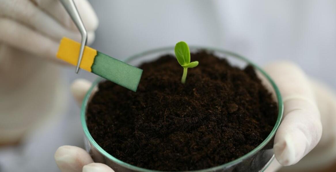 Jak pobieranie próbek gruntu wpływa na ocenę jakości środowiska?