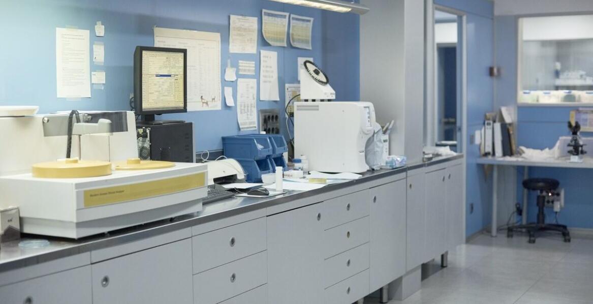 Współpraca z producentem odczynników chemicznych: korzyści dla laboratoriów