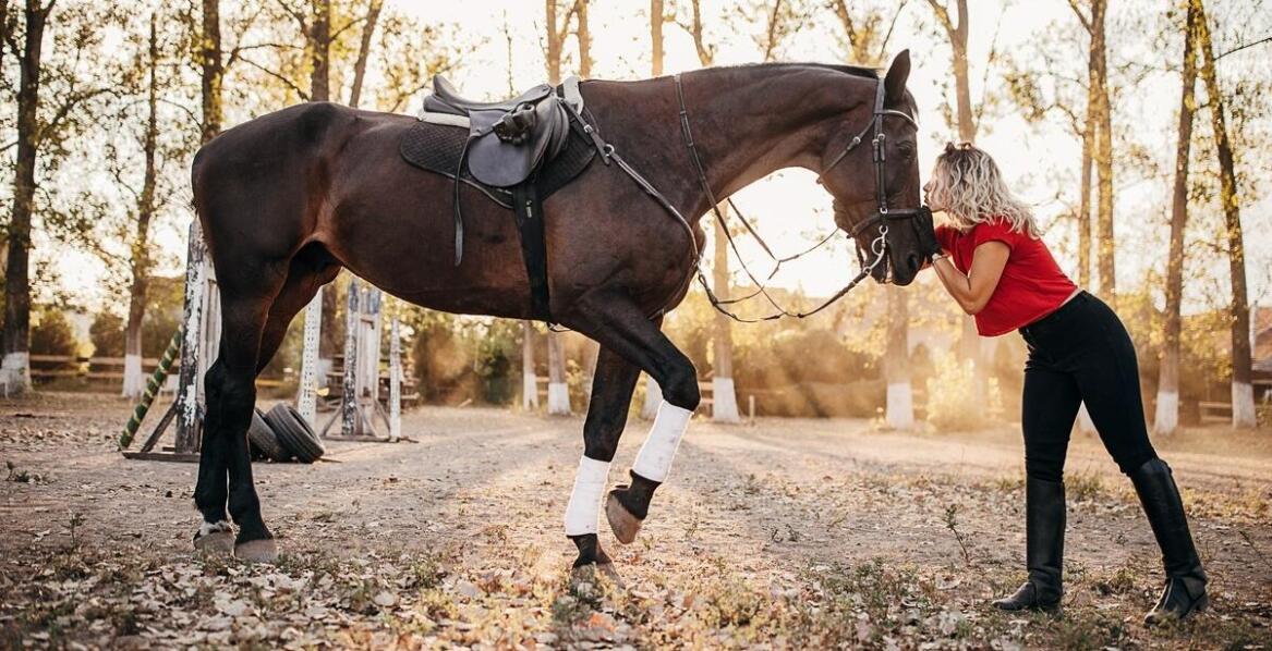 Różnorodność mat do boksu dla koni – jak dopasować produkt do potrzeb stajni?