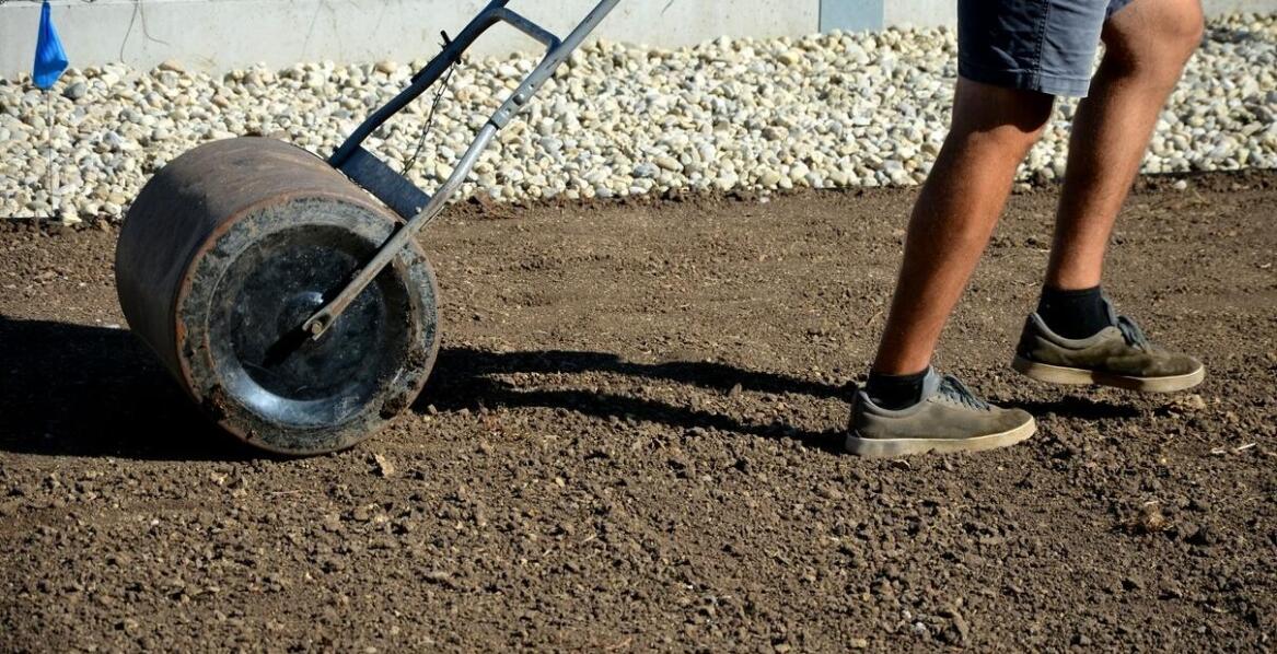 Zakładanie trawników – jakie korzyści przynosi profesjonalna usługa?