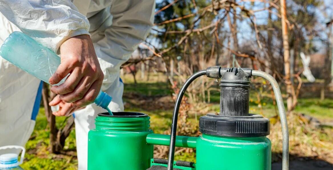 Jak metody biologiczne wspierają dezynsekcję pomieszczeń przemysłowych?