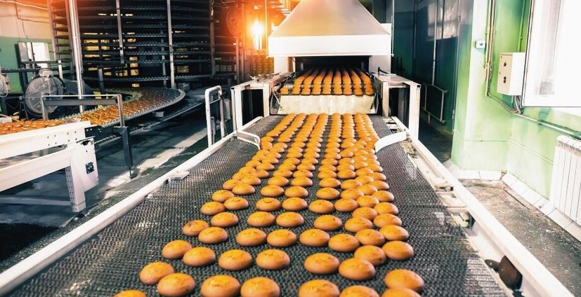 Normy dotyczące kontaktu z żywnością a taśmy transporterowe